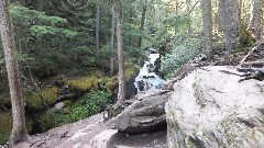 Glacier National Park; Avalanche Trail, MT