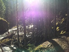 Glacier National Park, MT