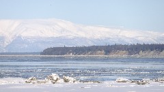 Fairbanks to Anchorage Train