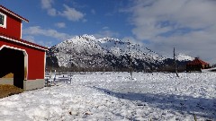 Alaska Wildlife Rehabilitation Center