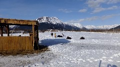 Alaska Wildlife Rehabilitation Center