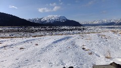 Alaska Wildlife Rehabilitation Center