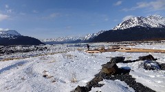 Ruth Bennett McDougal Dorrough; Alaska Wildlife Rehabilitation Center