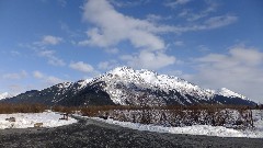 Alaska Wildlife Rehabilitation Center