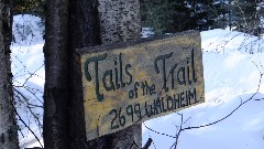 sign Tails of the Trail
Author of this book (Mary Shields) on dog sledding lives here