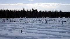 Alaska Dog Mushers Association;