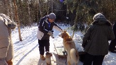 visiting Mary Shields, author of Tails of the Trail dog sledding book