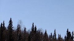 Arctic - Dene Winter Games; Skiing
