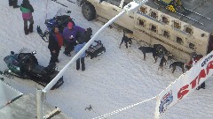 Alaska; Alaska Photos; Open North American Championship Sled Dog Race