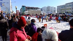 Sarah Derry; Open North American Championship Sled Dog Race