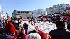 Sarah Derry; Open North American Championship Sled Dog Race