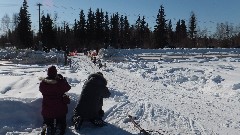 Open North American Championship Sled Dog Race