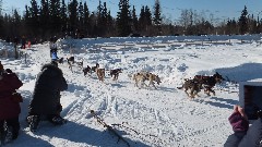 Open North American Championship Sled Dog Race
