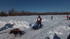 Open North American Championship Sled Dog Race