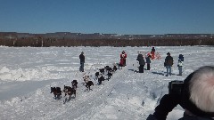 Open North American Championship Sled Dog Race