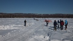 Open North American Championship Sled Dog Race