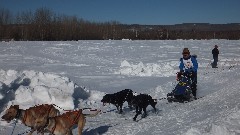 Open North American Championship Sled Dog Race