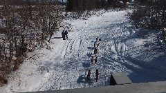 Open North American Championship Sled Dog Race