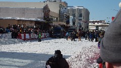Open North American Championship Sled Dog Race
