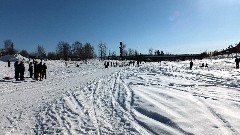Open North American Championship Sled Dog Race