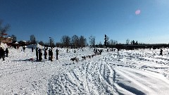 Open North American Championship Sled Dog Race
