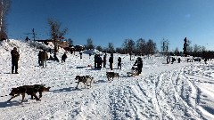 Open North American Championship Sled Dog Race