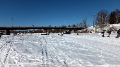 Open North American Championship Sled Dog Race