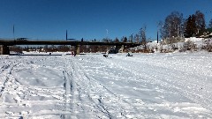 Open North American Championship Sled Dog Race