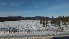 Fairbanks to Coldfoot bus ride