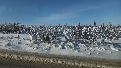 Dalton Highway; Fairbanks to Coldfoot