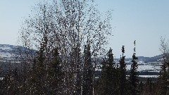 Dalton Highway; Arctic Circle; Alaska; Fairbanks to Coldfoot