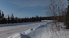 Fairbanks to Coldfoot