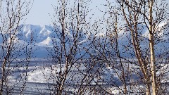 Dalton Highway Fairbanks to Coldfoot AK