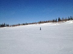 Yukon River Camp Alaska