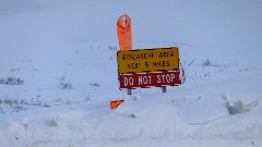 sign Avalanche Area Next 5 Miles Do not stop