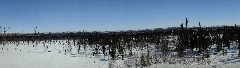 Dalton Highway Coldfoor to Atigun Pass