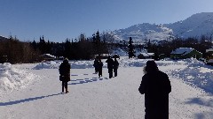 Wiseman AK
