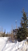 Wiseman AK