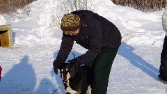 Phyllis Hergenrader; Dog Sled Ride; Slate Creek Inn; Coldfoot Camp; Coldfoor AK