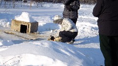 Cheryl Thorley; Dog Sled Ride; Slate Creek Inn; Coldfoot Camp; Coldfoor AK