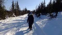 Coldfoot Camp AK