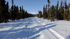 Coldfoot Camp AK