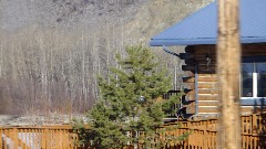 Nenana River AK