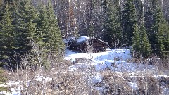 Nenana River; Fairbanks to Anchorage AK by Train
