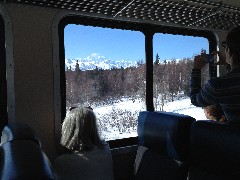 Fairbanks to Anchorage by Train