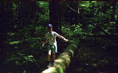 Ben Dorrough; Allegheny National Forest
