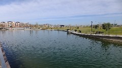 Riverview Park; Phoenix, AZ