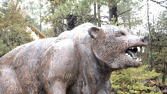 bear statue; Strawberry, AZ
