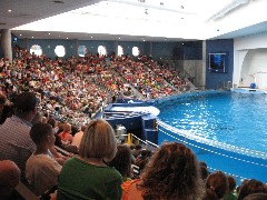 aquarium Baltimore MD