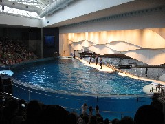 aquarium Baltimore MD